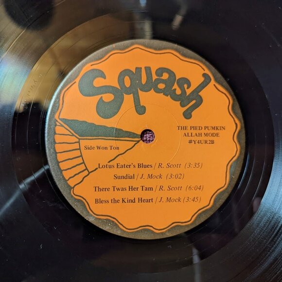 FURTHER REDUCED Vintage Vinyl LP –Pied Pumkin Allah Mode String Ensemble–© 1976 - Picture 5 of 6